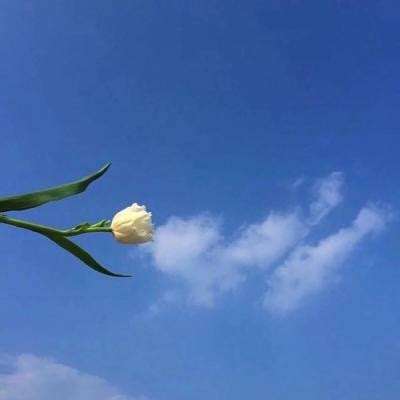 40秒回顾“1·12”神木矿难 为21名遇难矿工默哀！